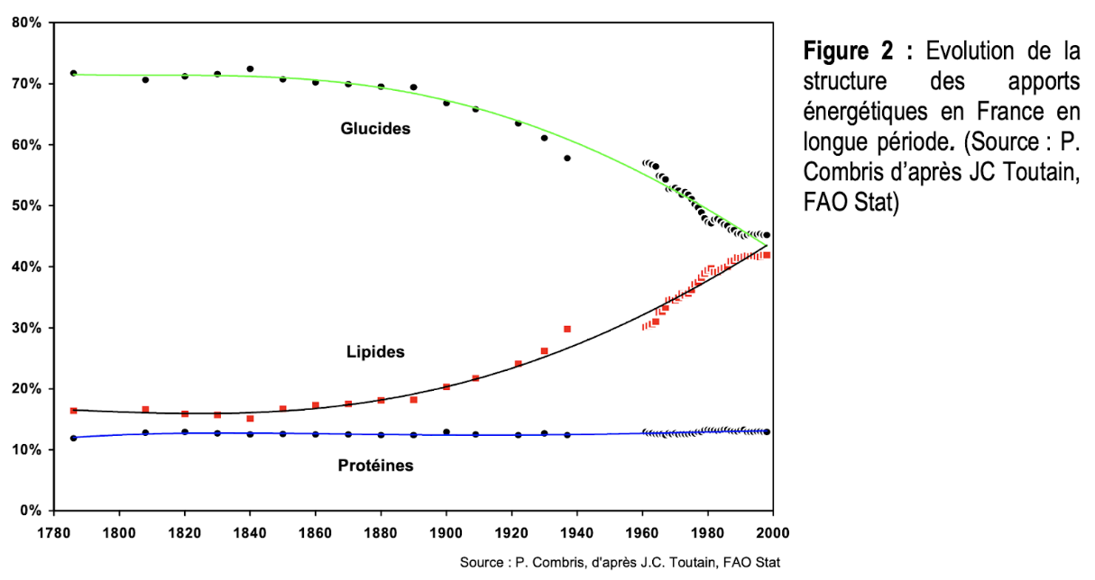 Evolution des la structure des apports énergétiques en France en longue période