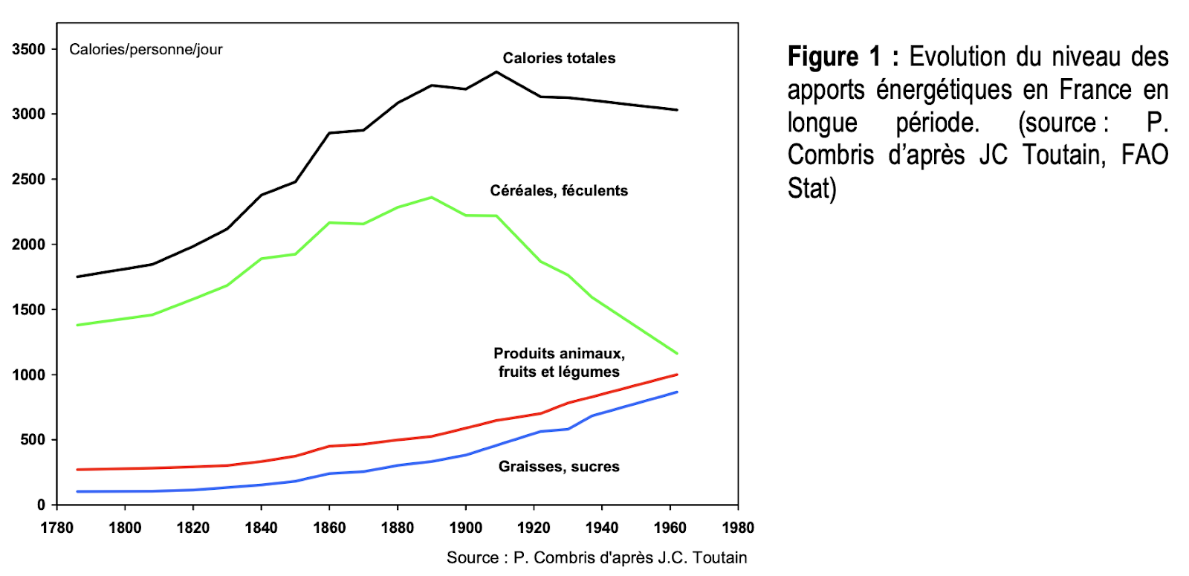 Evolution du niveau des apports énergétiques en France en longue période