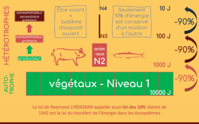 L’élevage : un maximum d’impact pour un minimum d’apports