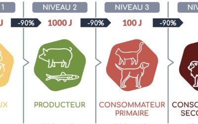 L’élevage : un maximum d’impact pour un minimum d’apports